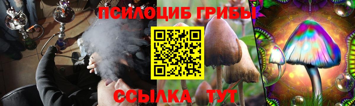 Галлюциногенные грибы Psilocybine cubensis  Псилоцибиновые грибы ЛСД  Кировск  Вход с VPN 